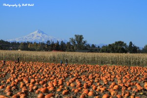 Autumn images from Bill Dahl