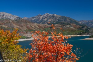 Photography by Bill Dahl – Letter of Recommendation