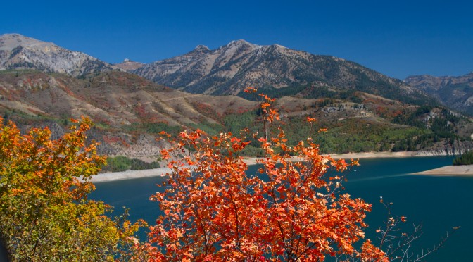 Photography by Bill Dahl – Letter of Recommendation